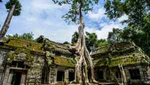 Cambodia: the Tomb Rider temple devoured by nature