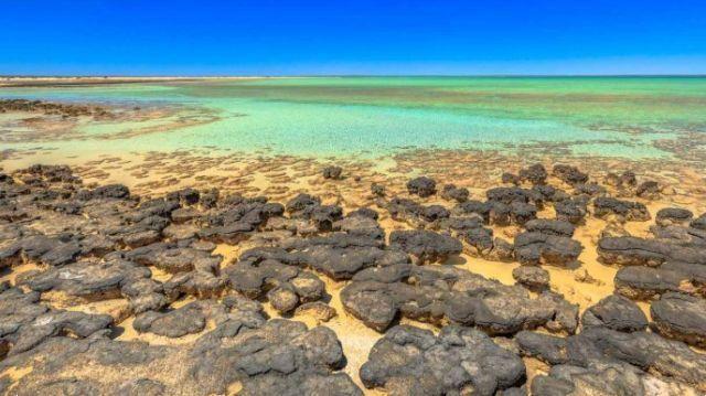 En Australia hay un lugar que revela cómo era la vida hace 3,5 millones de años