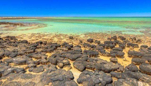 In Australia there is a place that reveals what life was like 3,5 billion years ago