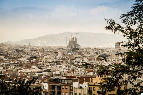 Where to Stay in Barcelona if You Go For the First Time