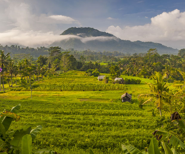 Qué hacer en Bali: la guía definitiva