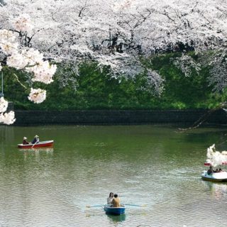 When to go to Japan, Best Month, Weather, Climate, Time