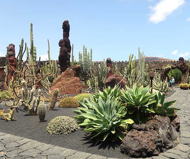 Dónde está el y que ver en el Jardín De Cactus de Lanzarote