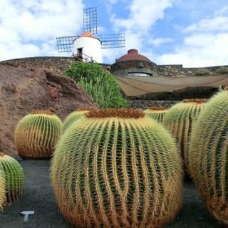 When to go to Lanzarote, Best Month, Weather, Climate, Time