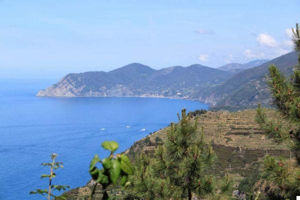 The Best Excursions in Liguria: 15 Unmissable Itineraries