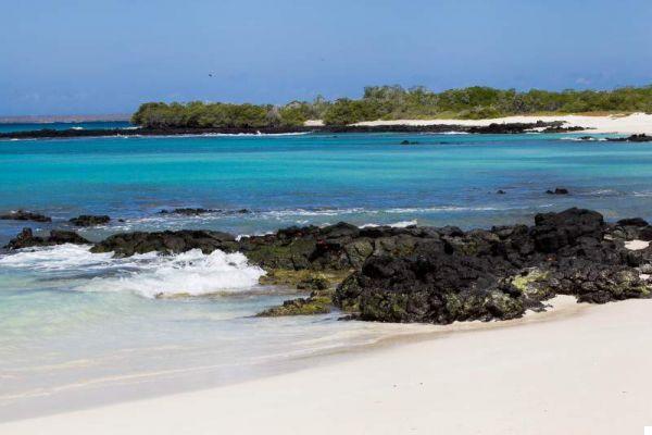 Îles Galapagos, comment les visiter pour moins cher